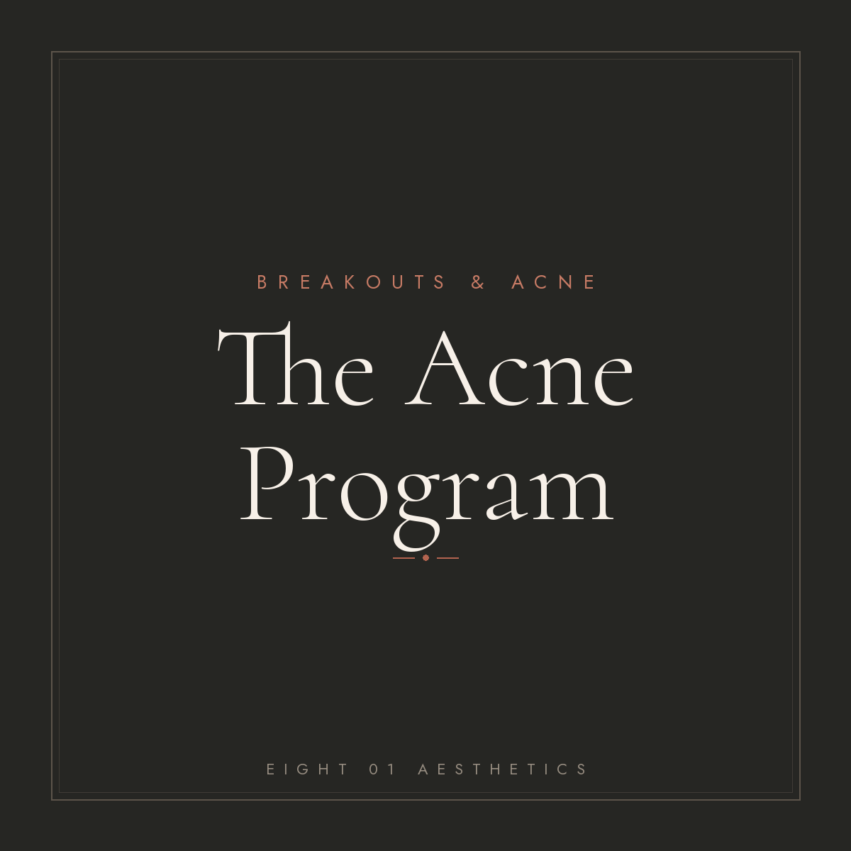The Acne Program — eight 01 Aesthetics